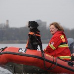 Rettungshundestaffel DLRG - Bild: www.halternerzeitung.de